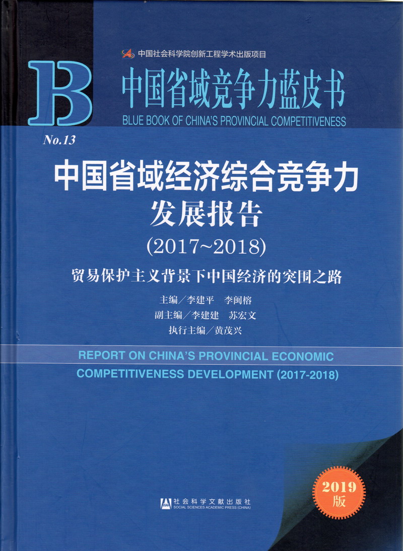 大鸡巴操得骚逼好爽哦视频中国省域经济综合竞争力发展报告（2017-2018）